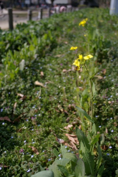 e0095468_15415648.jpg