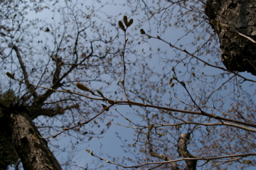 e0095468_1543265.jpg