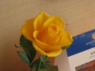 c0077283_2024657.jpg