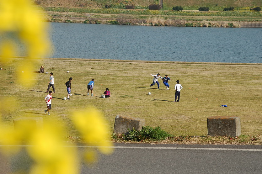 ほんのり、狂った陽気_e0095094_2248389.jpg