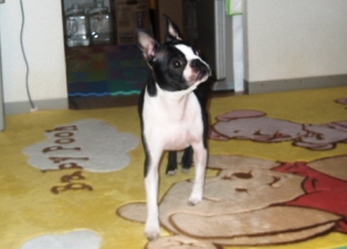 a0054700_9365138.jpg