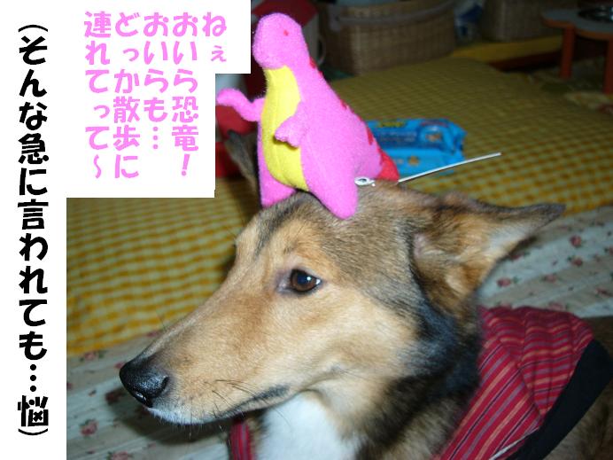 d0032004_15162940.jpg