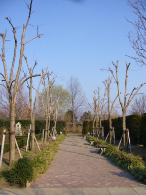 f0065604_1403577.jpg