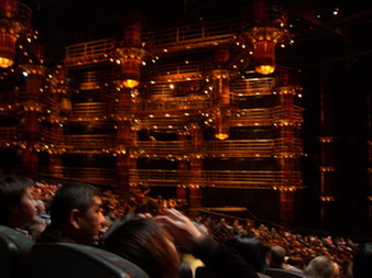 KA　CIRQUE DU SOLEIL_f0105318_9263793.jpg