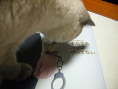 それボク_c0006826_19392597.jpg