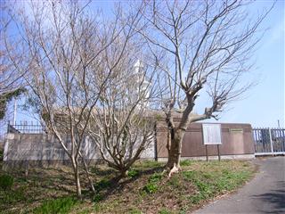 c0039428_2213182.jpg