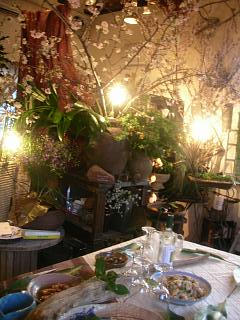 去年の花見は・・_c0102228_20222133.jpg