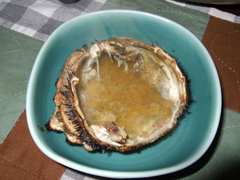 c0011031_023352.jpg