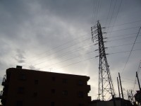 e0080345_1748454.jpg