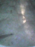 d0007957_22364670.jpg