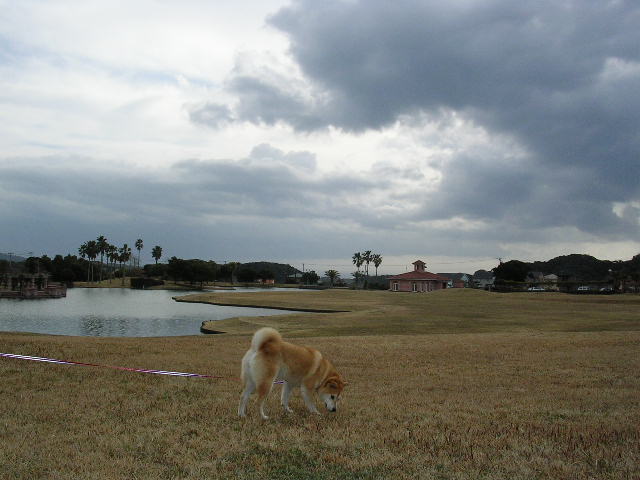 2007年3月5日(月)・・・嵐の前の静けさ_f0060461_14141248.jpg