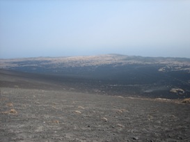 伊豆大島の旅　（その６）　「裏砂漠」_f0012165_284764.jpg