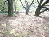 e0090268_16113366.jpg