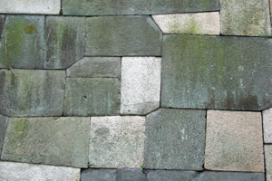 b0006870_1231952.jpg