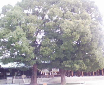 開門5:40_f0054677_88927.jpg