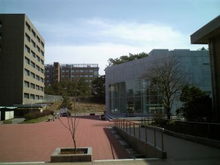 b0006289_22223199.jpg