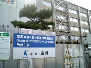 b0006289_22224610.jpg