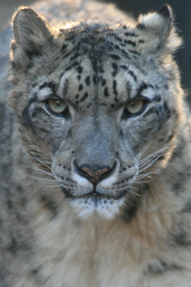 タイムラグ_b0016600_11503127.jpg