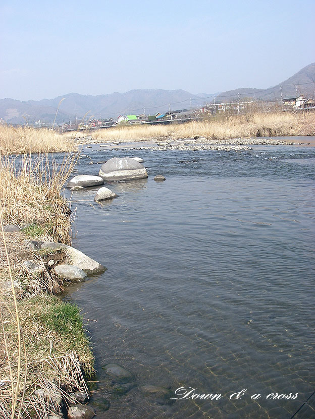 渡良瀬川の放流日_c0095801_201545.jpg