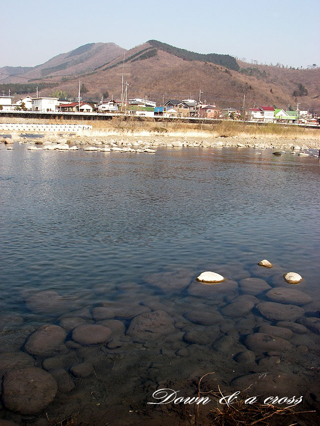 渡良瀬川の放流日_c0095801_2082297.jpg