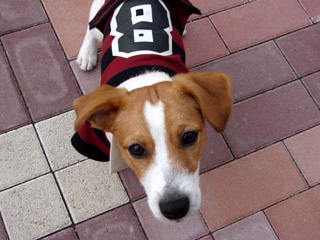 f0080105_012751.jpg