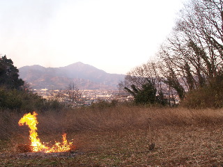 e0112213_7534216.jpg