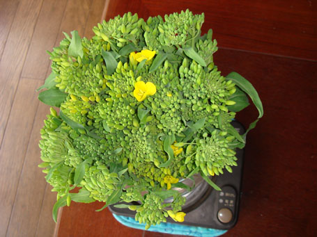c0000718_1565842.jpg
