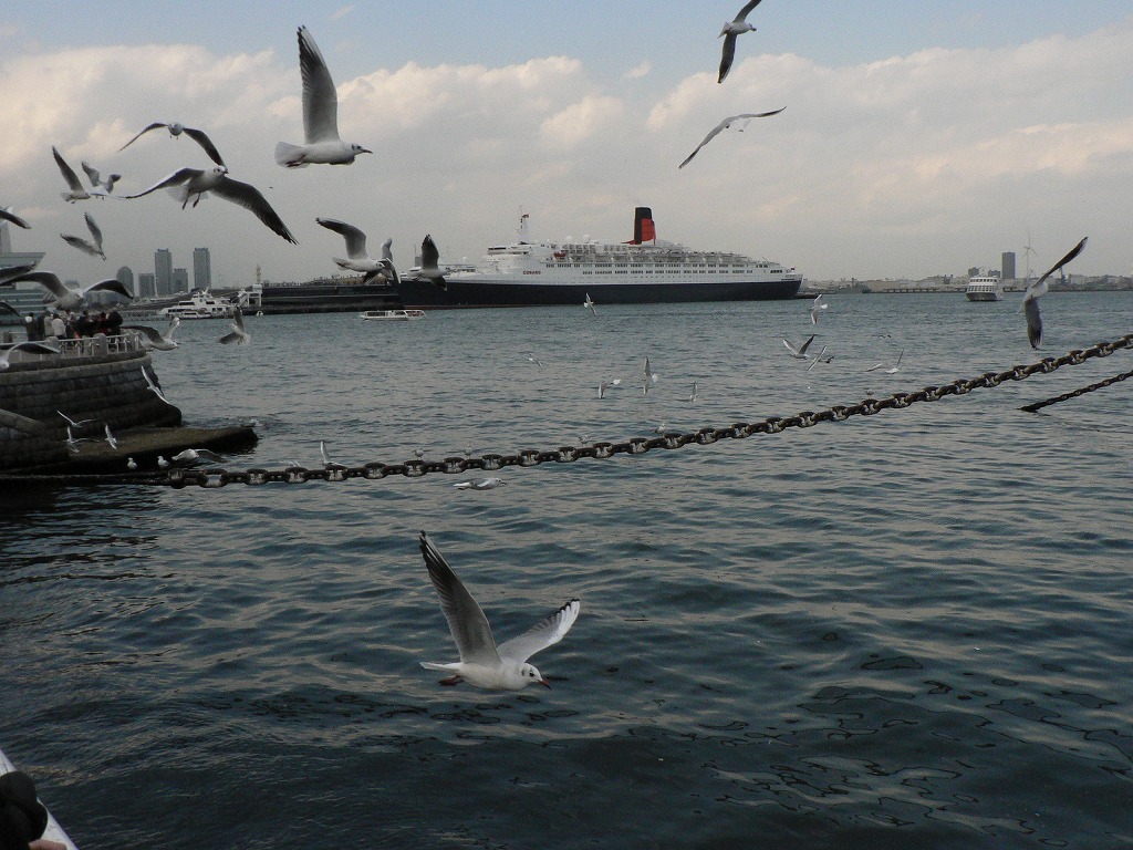 横浜大桟橋に大型客船が続々_c0044021_2302635.jpg