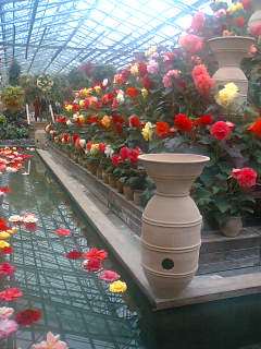 b0084739_10431784.jpg