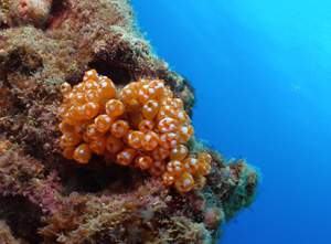 d0065247_22242695.jpg