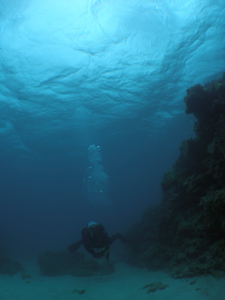 d0065247_22261374.jpg