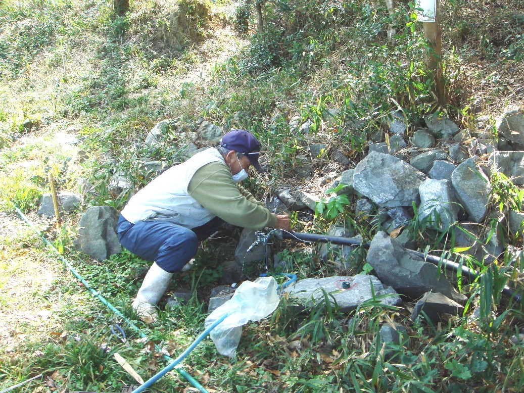 c0108460_17241170.jpg