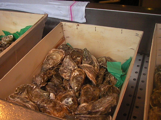 f0038407_92985.jpg