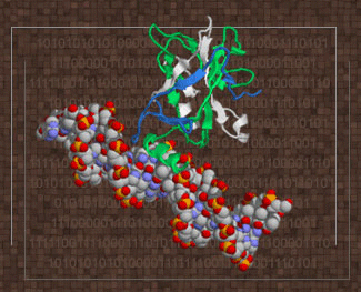 a0055913_16424870.gif
