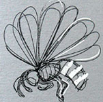 b0010426_9565843.jpg