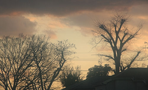 e0115526_2152549.jpg