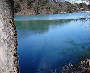 長野を犬と旅したぞ～！「美しい湖畔でのハイキング」_e0002541_3115722.jpg