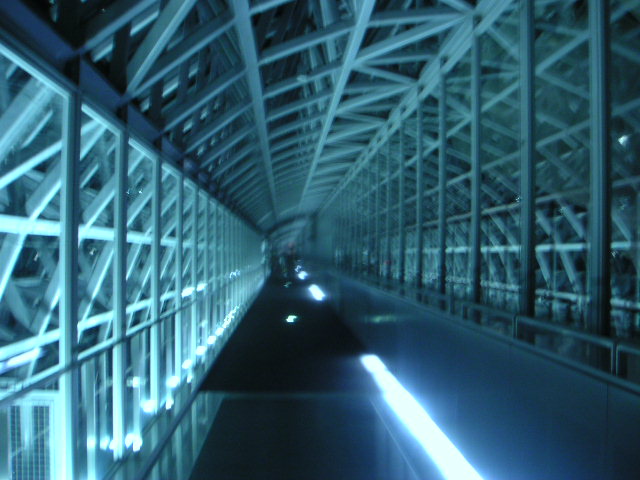 d0068879_07461.jpg