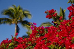 c0085098_183275.jpg