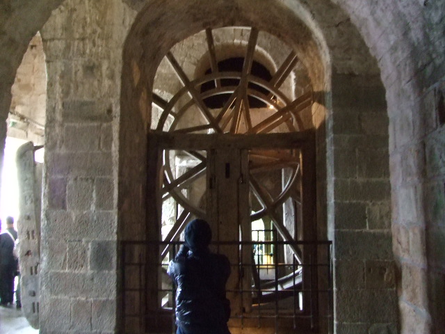 f0076001_2312797.jpg