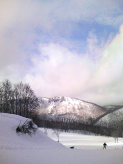 e0083204_13333523.jpg
