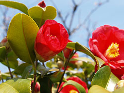 a0041508_20324360.jpg