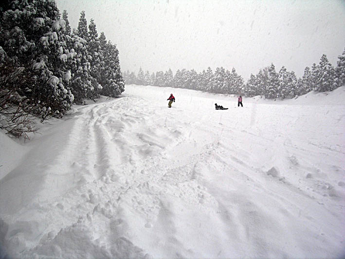 c0078410_0513420.jpg