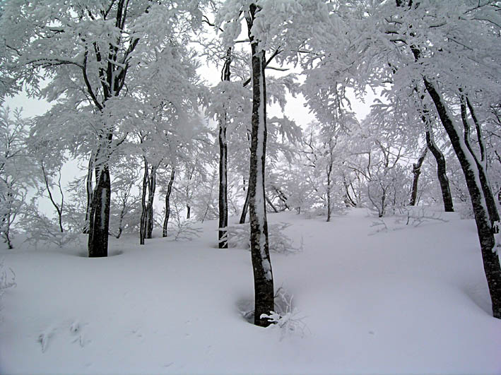 c0078410_055219.jpg