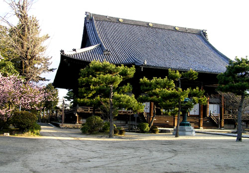 百万遍 知恩寺の早咲き桜_e0048413_2314655.jpg