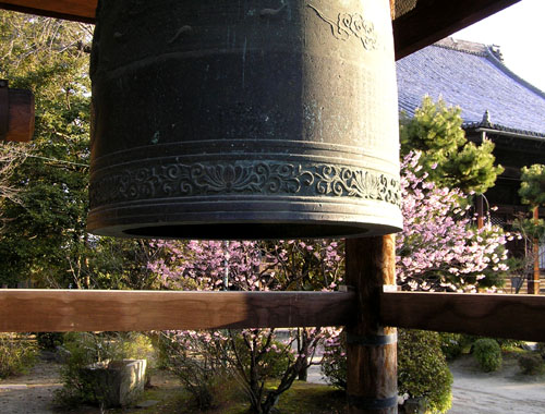 百万遍 知恩寺の早咲き桜_e0048413_23221100.jpg