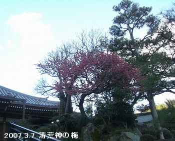 a0052666_1193723.jpg