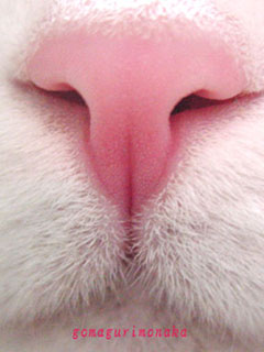a0064067_2138260.jpg