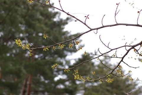 b0072176_18513445.jpg