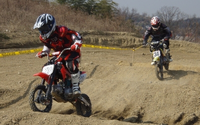 c0035980_14472.jpg
